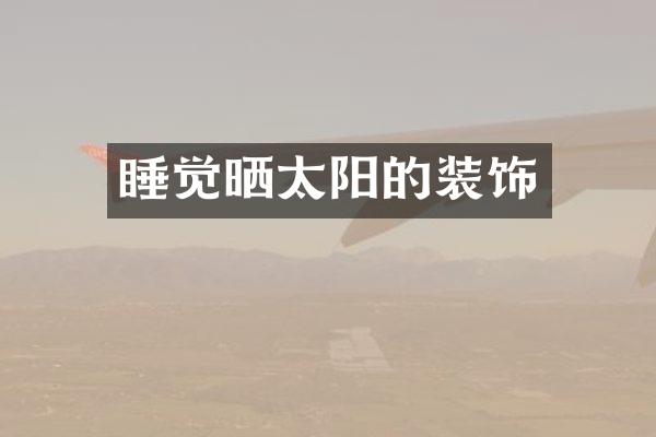 睡觉晒太阳的装饰