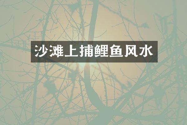 沙滩上捕鲤鱼风水