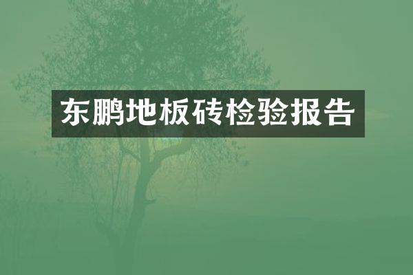 东鹏地板砖检验报告