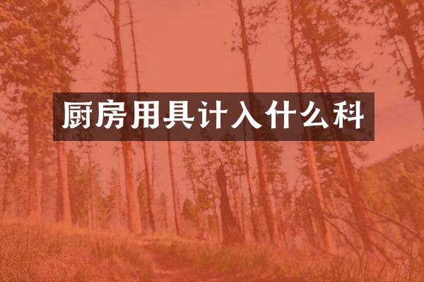 厨房用具计入什么科