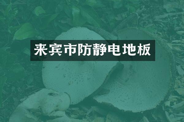 来宾市防静电地板