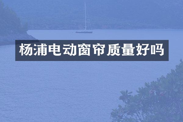 杨浦电动窗帘质量好吗