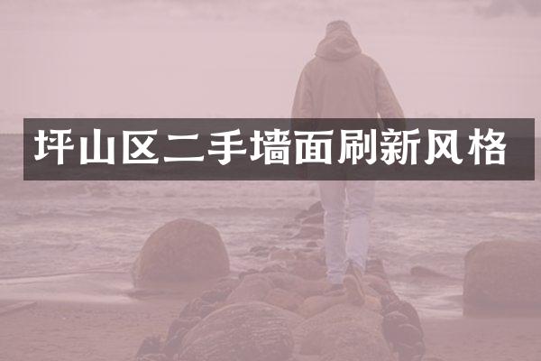 坪山区二手墙面刷新风格