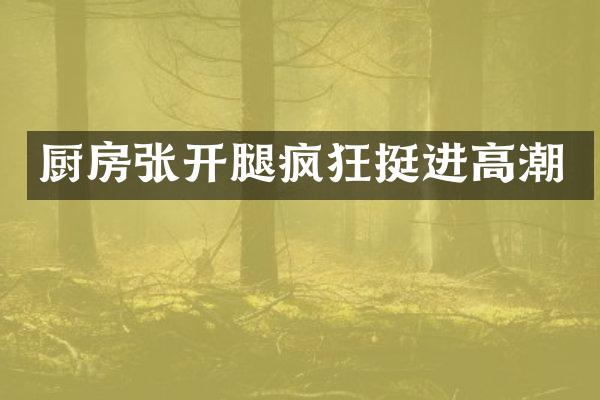 厨房张开腿疯狂挺进高潮
