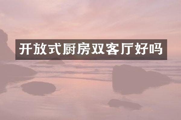 开放式厨房双客厅好吗