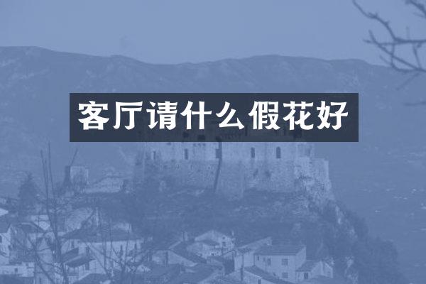 客厅请什么假花好
