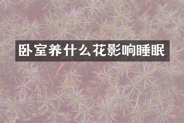 卧室养什么花影响睡眠