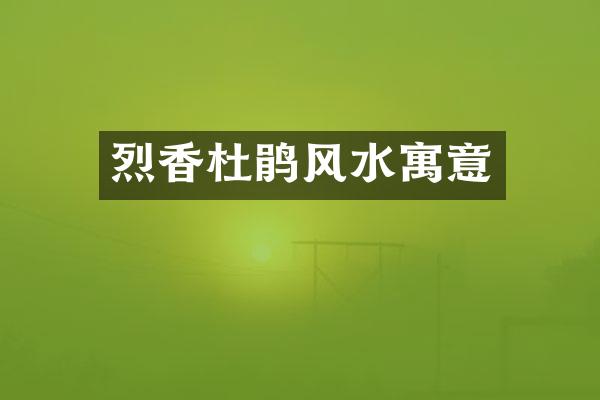 烈香杜鹃风水寓意