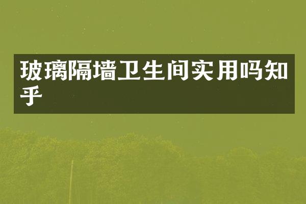 玻璃隔墙卫生间实用吗知乎