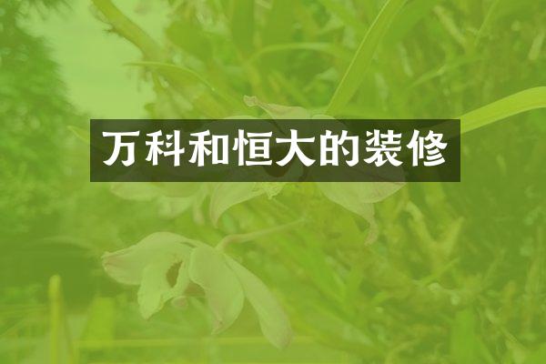 万科和恒大的装修