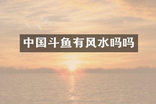 中国斗鱼有风水吗吗