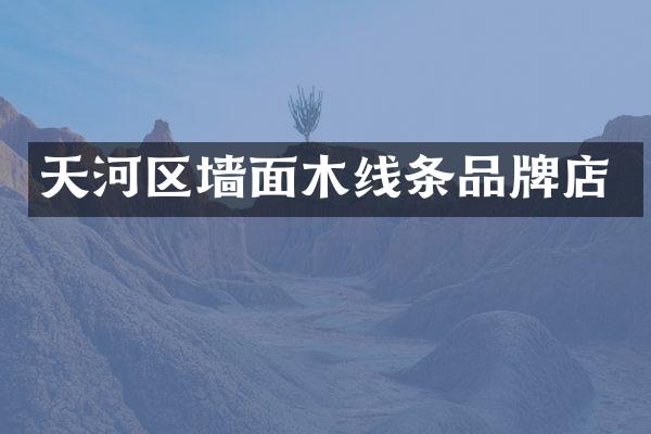 天河区墙面木线条品牌店