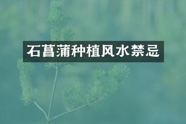 石菖蒲种植风水禁忌