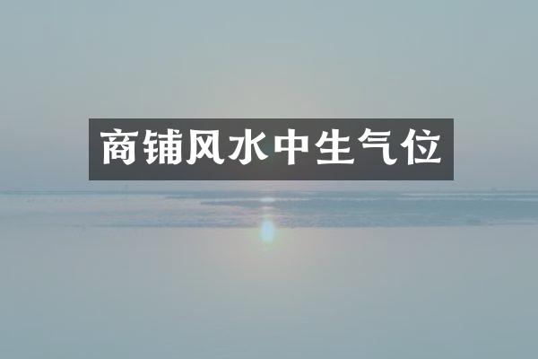 商铺风水中生气位