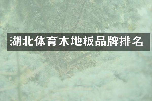 湖北体育木地板品牌排名