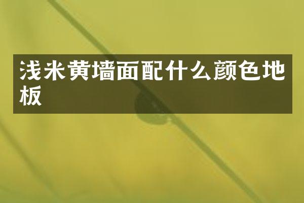 浅米黄墙面配什么颜色地板