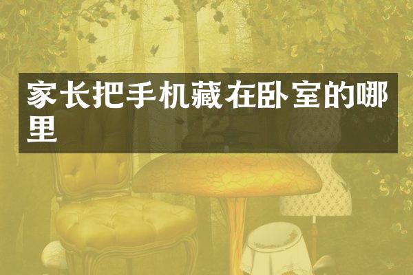 家长把手机藏在卧室的哪里