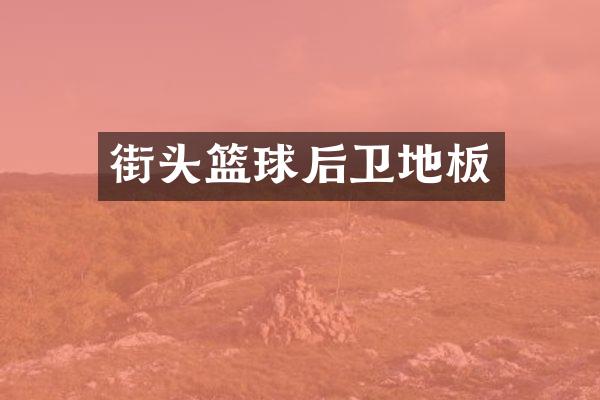 街头篮球后卫地板