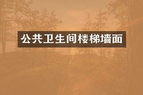 公共卫生间楼梯墙面