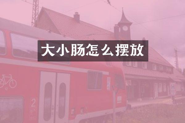 大小肠怎么摆放
