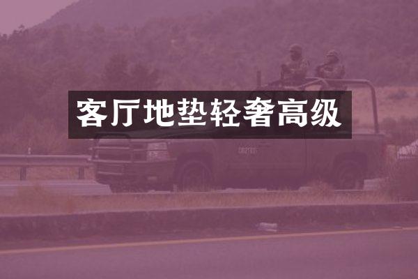 客厅地垫轻奢高级