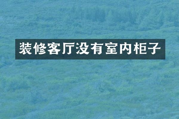 装修客厅没有室内柜子