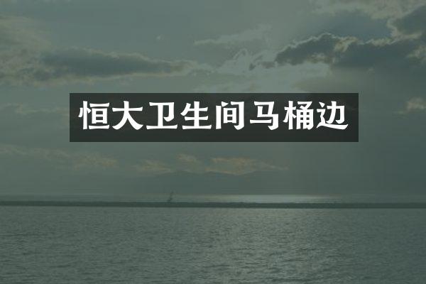 恒大卫生间马桶边