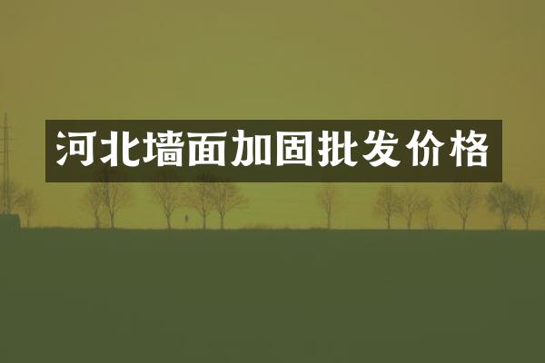 河北墙面加固批发价格