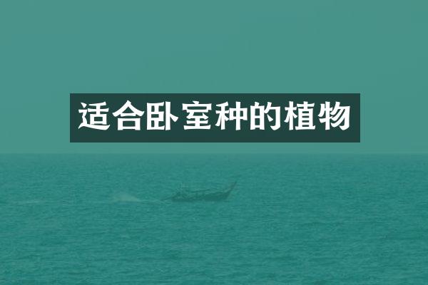 适合卧室种的植物