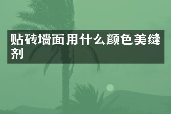 贴砖墙面用什么颜色美缝剂