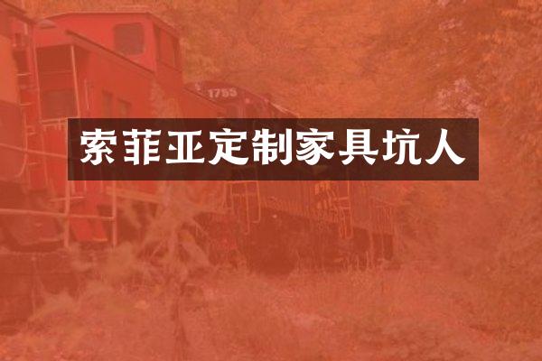 索菲亚定制家具坑人