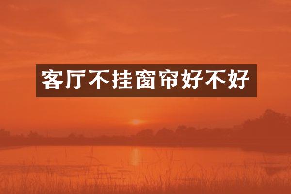 客厅不挂窗帘好不好