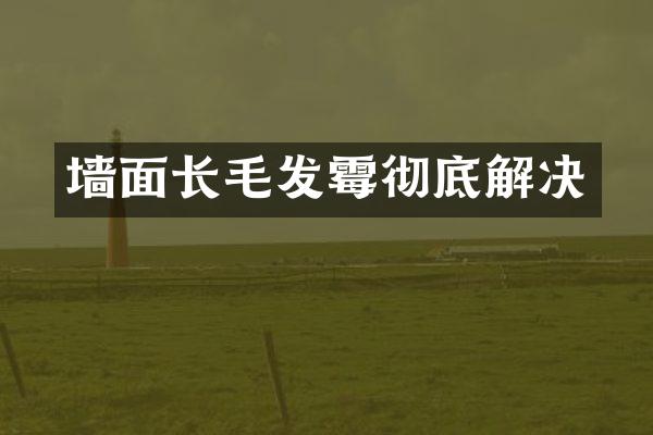 墙面长毛发霉彻底解决