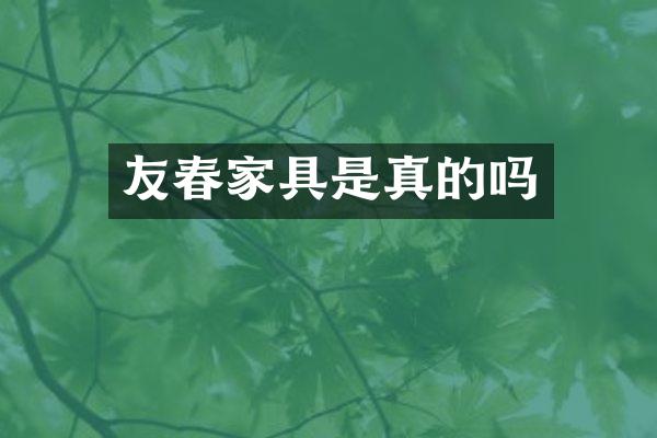 友春家具是真的吗