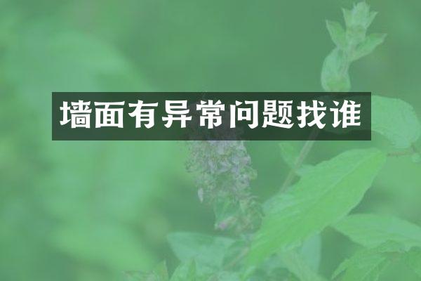 墙面有异常问题找谁