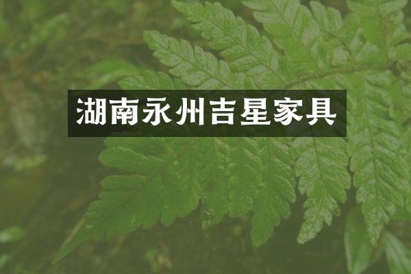 湖南永州吉星家具