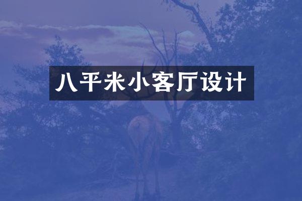八平米小客厅设计