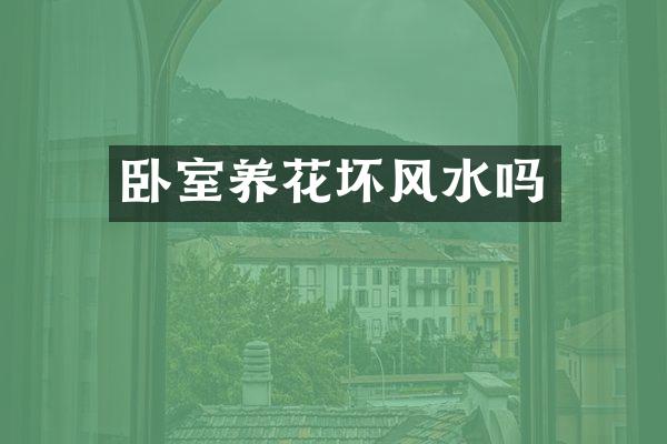 卧室养花坏风水吗