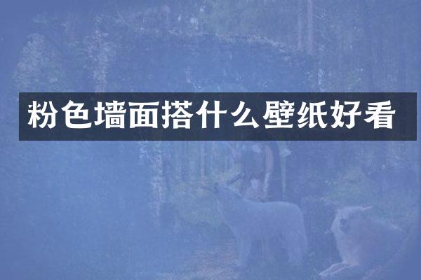 粉色墙面搭什么壁纸好看