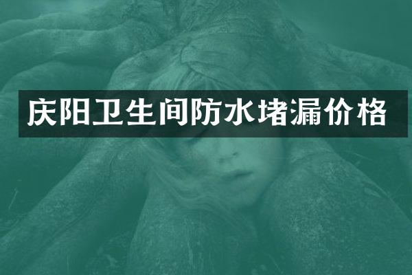 庆阳卫生间防水堵漏价格