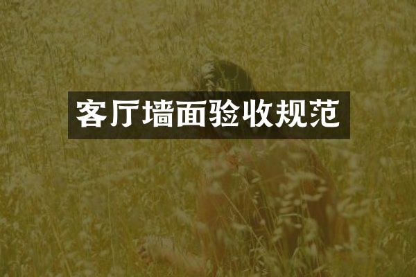 客厅墙面验收规范