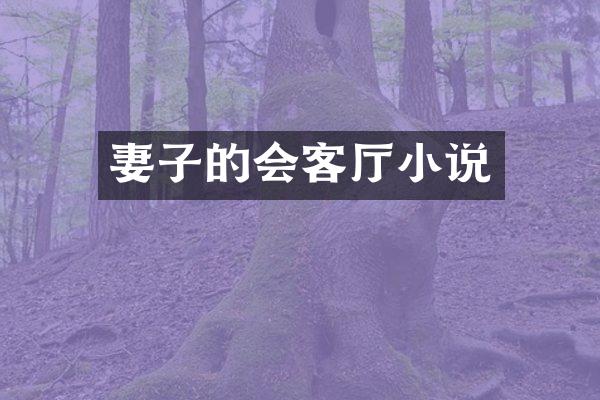 妻子的会客厅小说