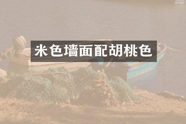 米色墙面配胡桃色