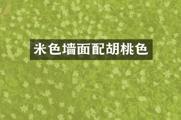 米色墙面配胡桃色