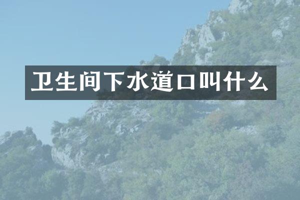 卫生间下水道口叫什么