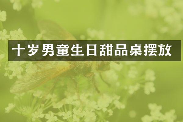 十岁男童生日甜品桌摆放