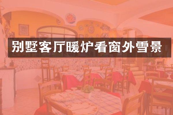 别墅客厅暖炉看窗外雪景