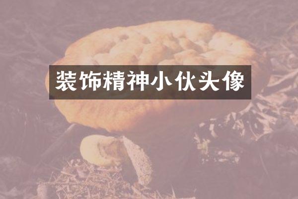 装饰精神小伙头像