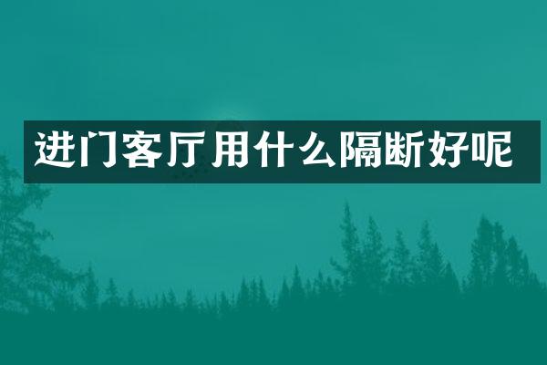 进门客厅用什么隔断好呢