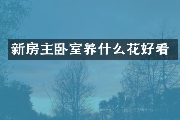 新房主卧室养什么花好看